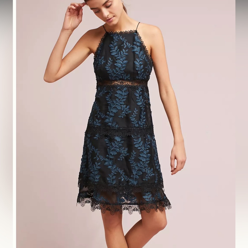 [ML Monique Lhuillier] Embroidered Silk Dress- Size 10
